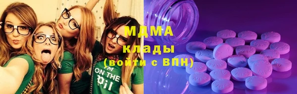 прущие грибы Белокуриха