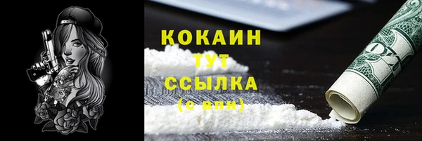 прущие грибы Белокуриха