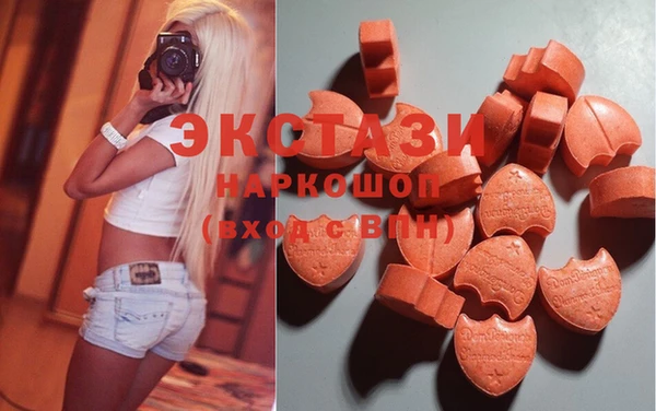 прущие грибы Белокуриха