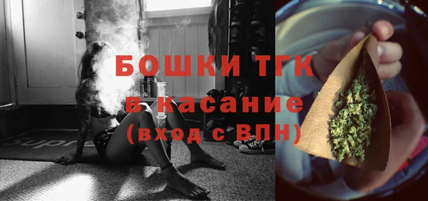 прущие грибы Белокуриха