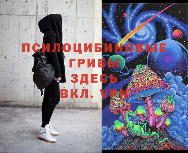 прущие грибы Белокуриха
