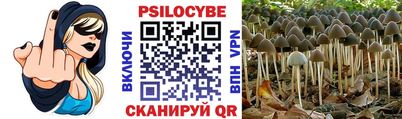 Галлюциногенные грибы GOLDEN TEACHER Болгар